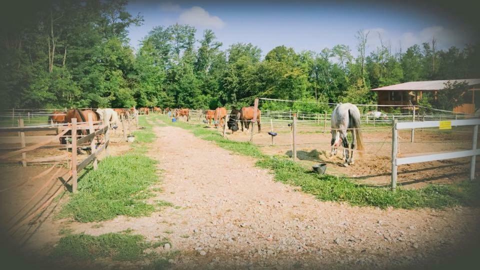 Agriturismo La Fornace Centro Ippico コモ エクステリア 写真