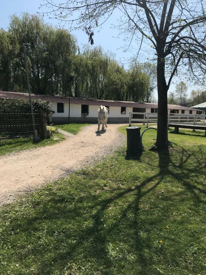 Agriturismo La Fornace Centro Ippico コモ エクステリア 写真
