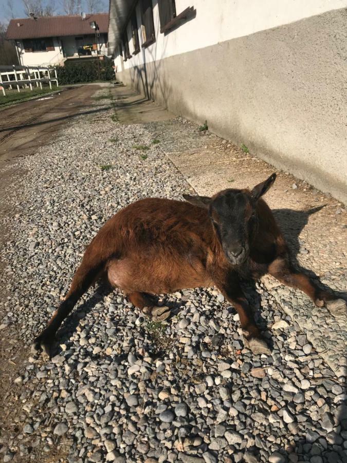 Agriturismo La Fornace Centro Ippico コモ エクステリア 写真
